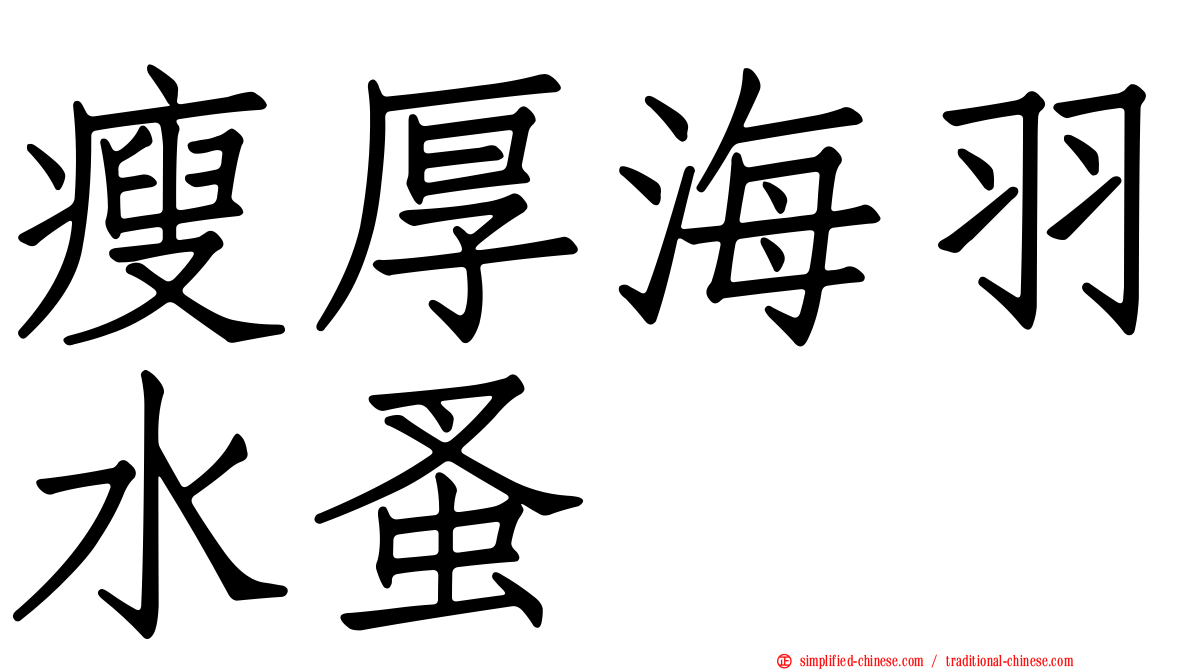 瘦厚海羽水蚤