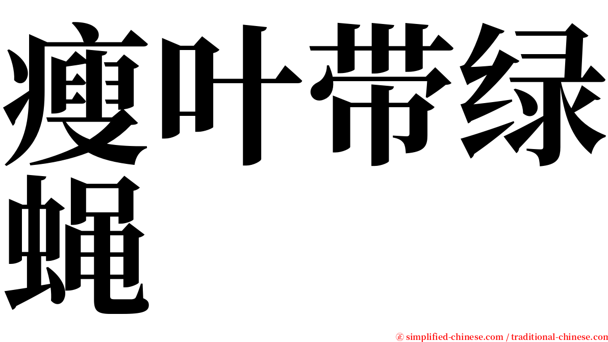 瘦叶带绿蝇 serif font