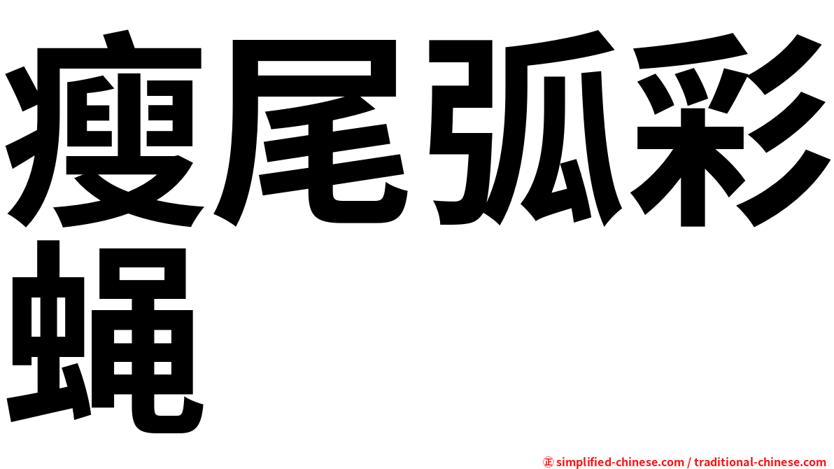 瘦尾弧彩蝇