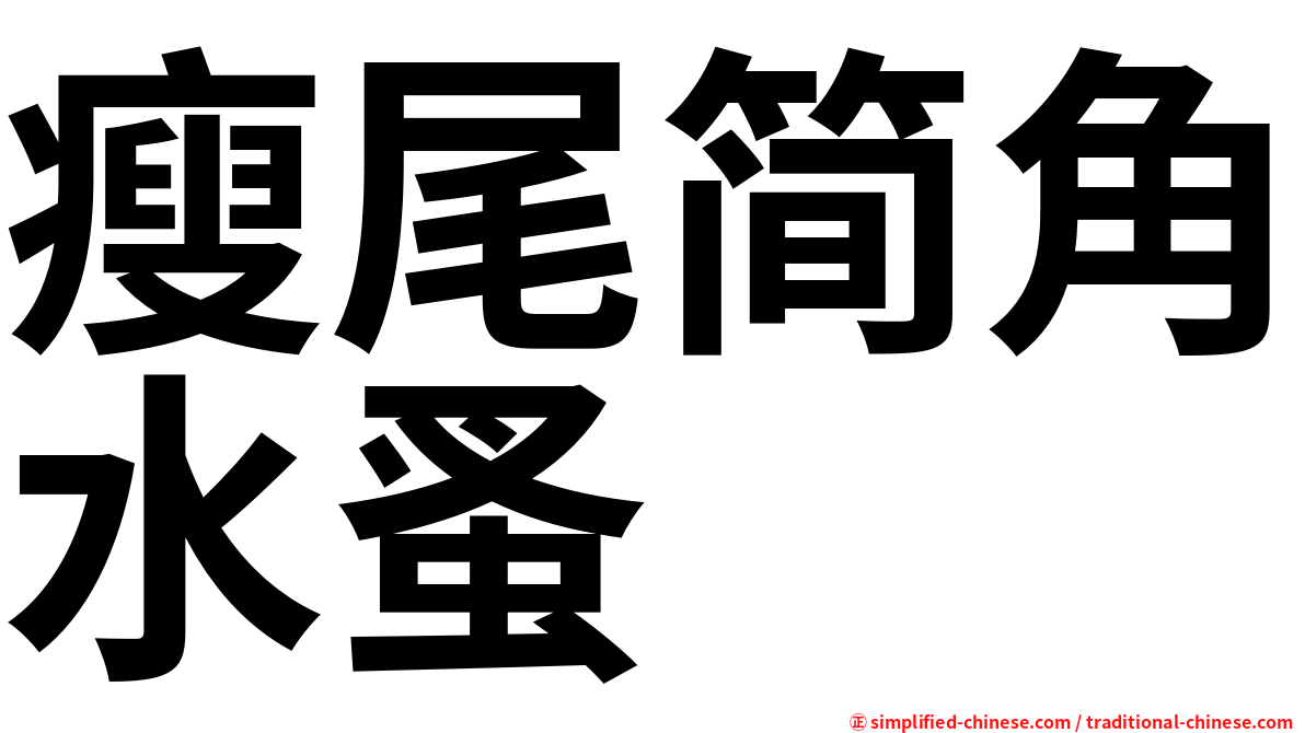 瘦尾简角水蚤