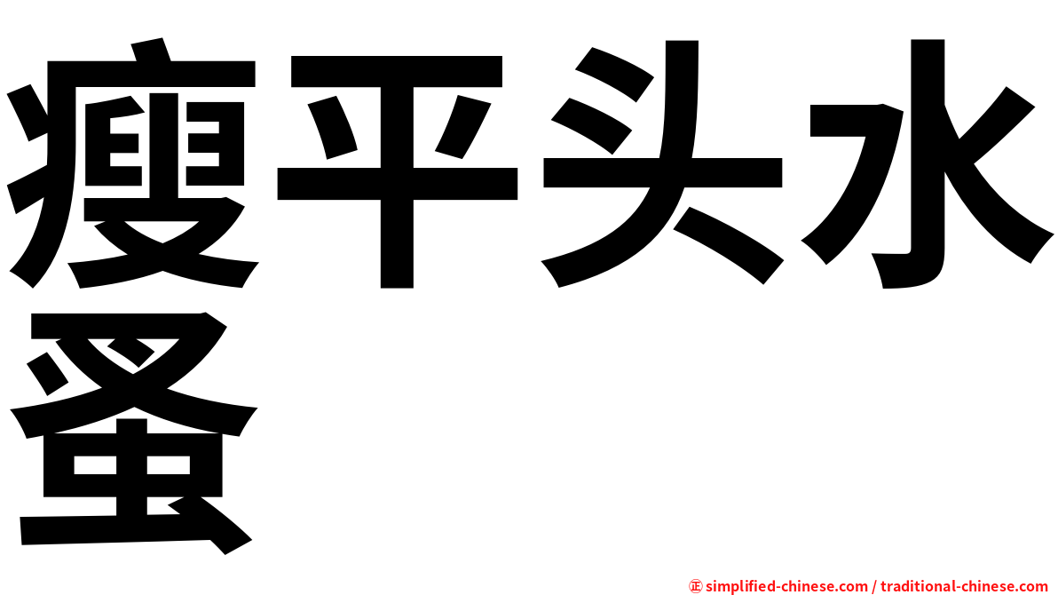 瘦平头水蚤