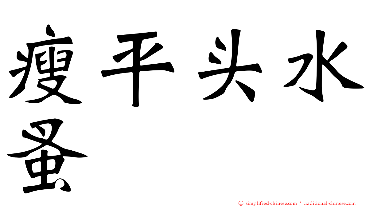 瘦平头水蚤