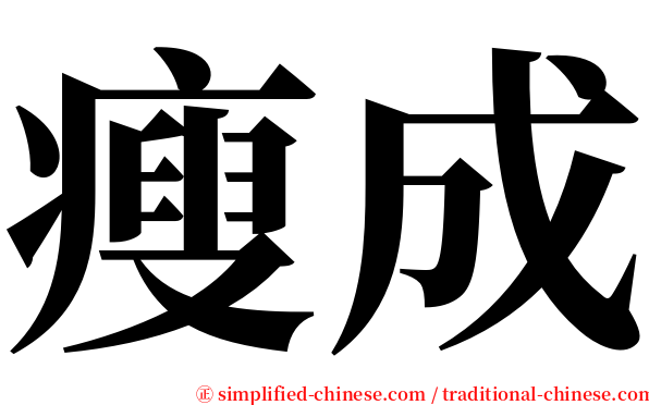 瘦成 serif font