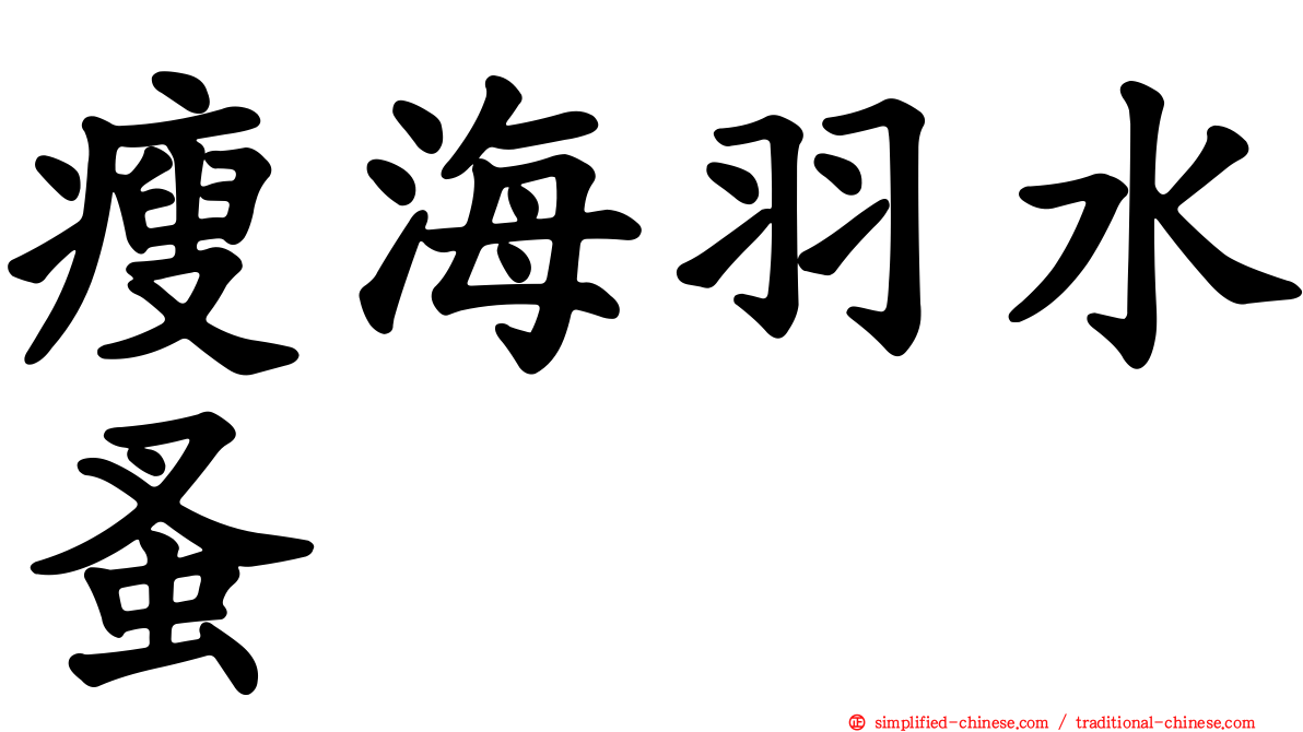 瘦海羽水蚤