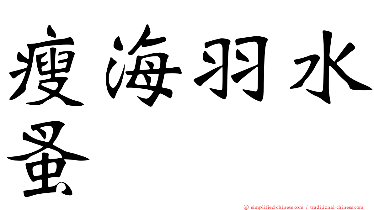 瘦海羽水蚤