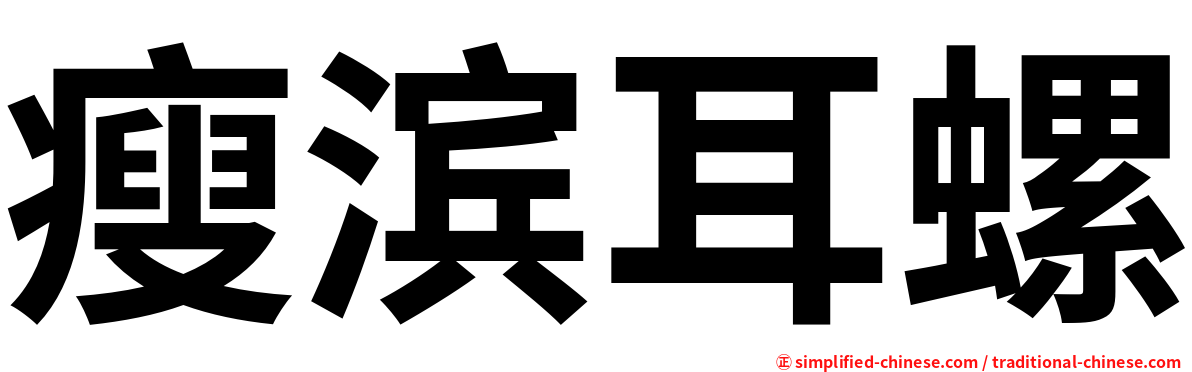 瘦滨耳螺