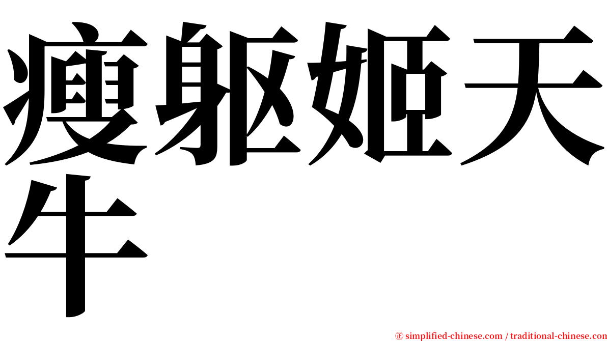 瘦躯姬天牛 serif font