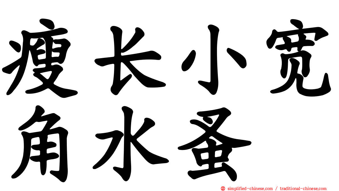 瘦长小宽角水蚤