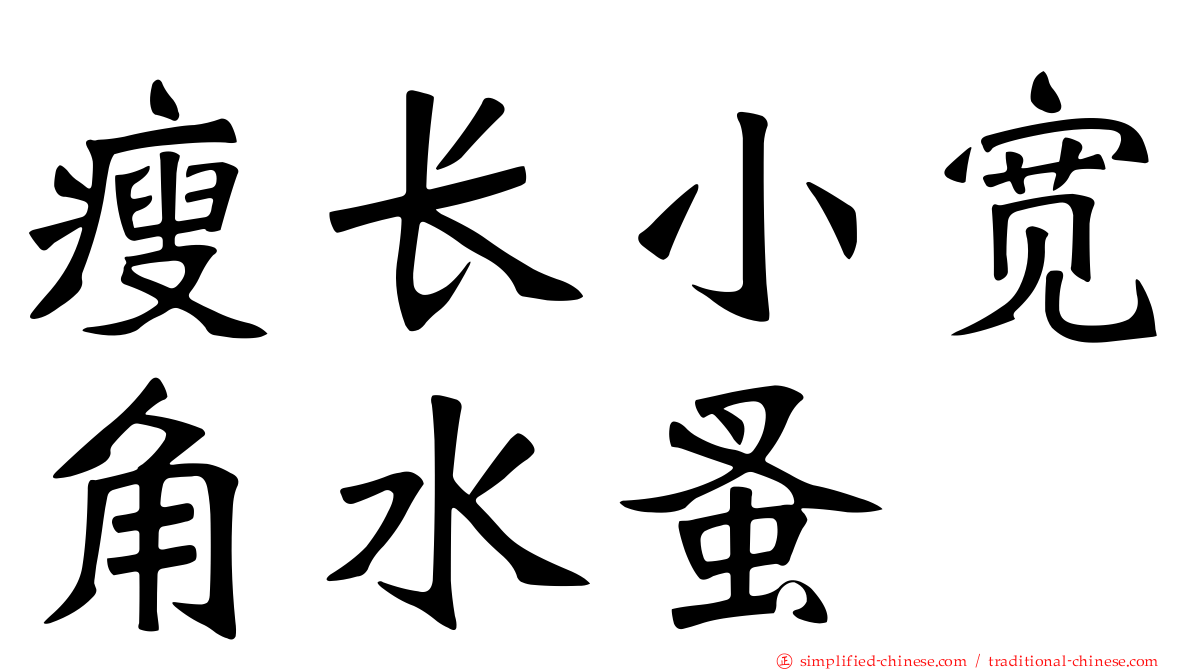 瘦长小宽角水蚤