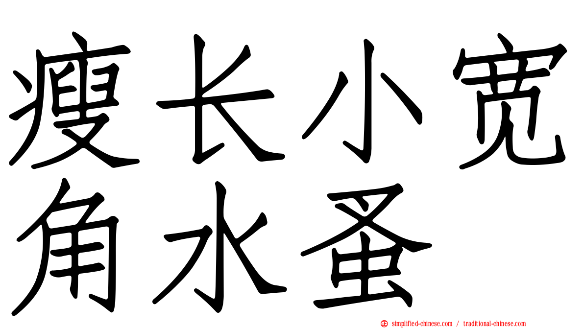 瘦长小宽角水蚤