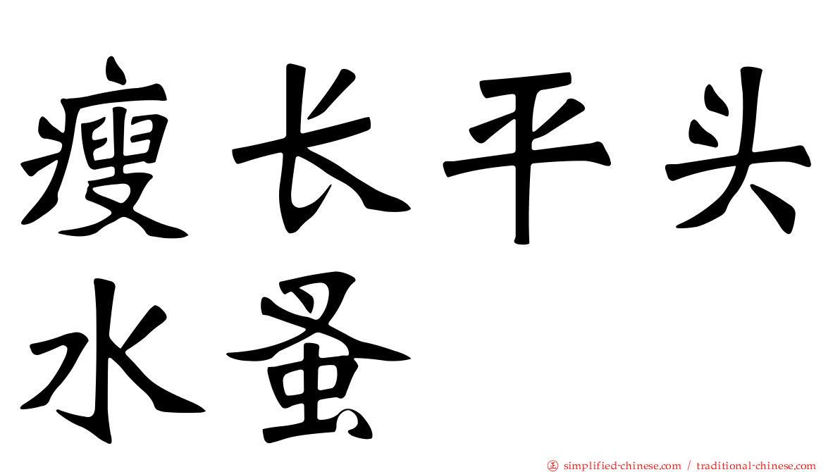 瘦长平头水蚤