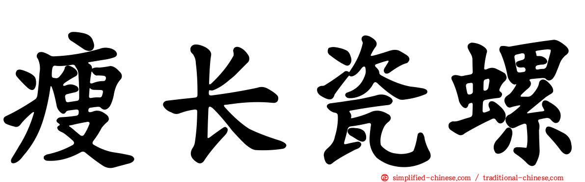 瘦长瓷螺