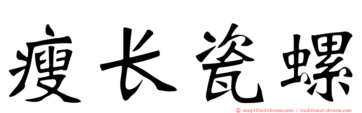 瘦长瓷螺