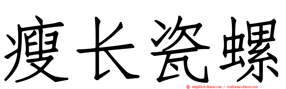 瘦长瓷螺