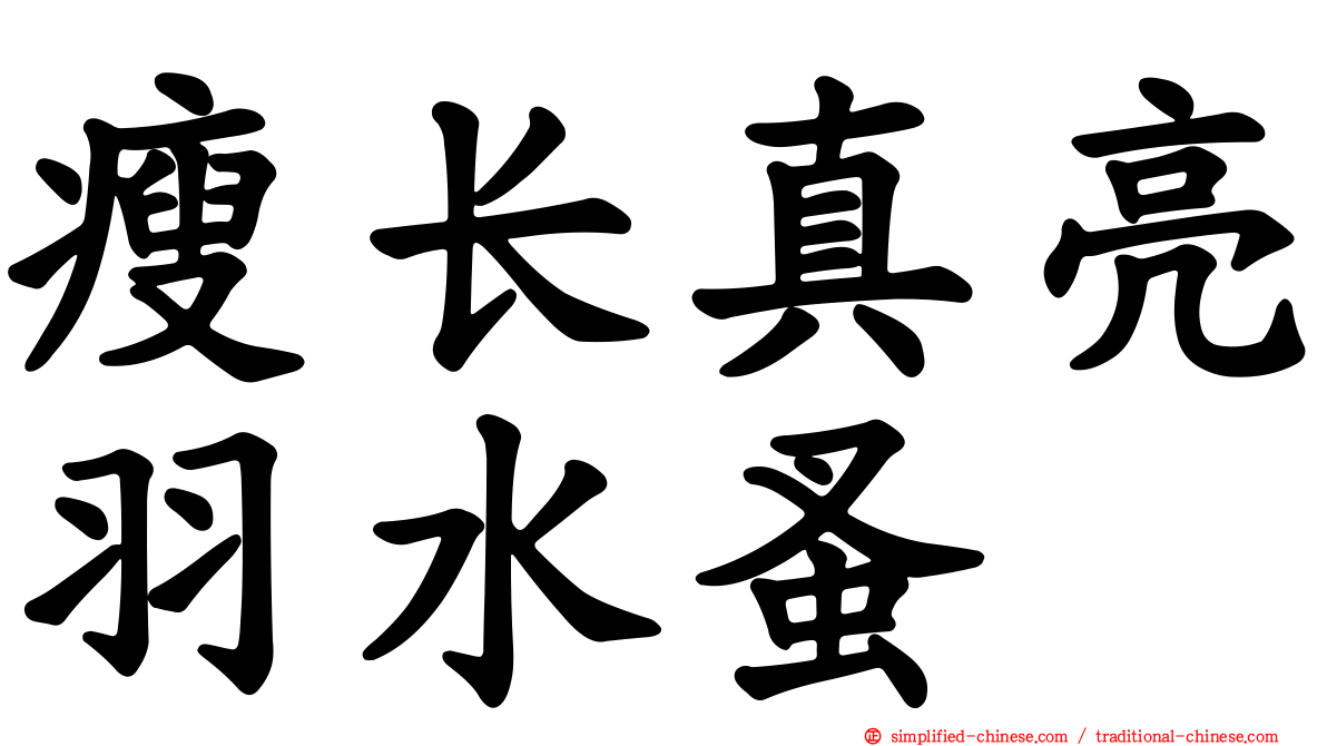 瘦长真亮羽水蚤