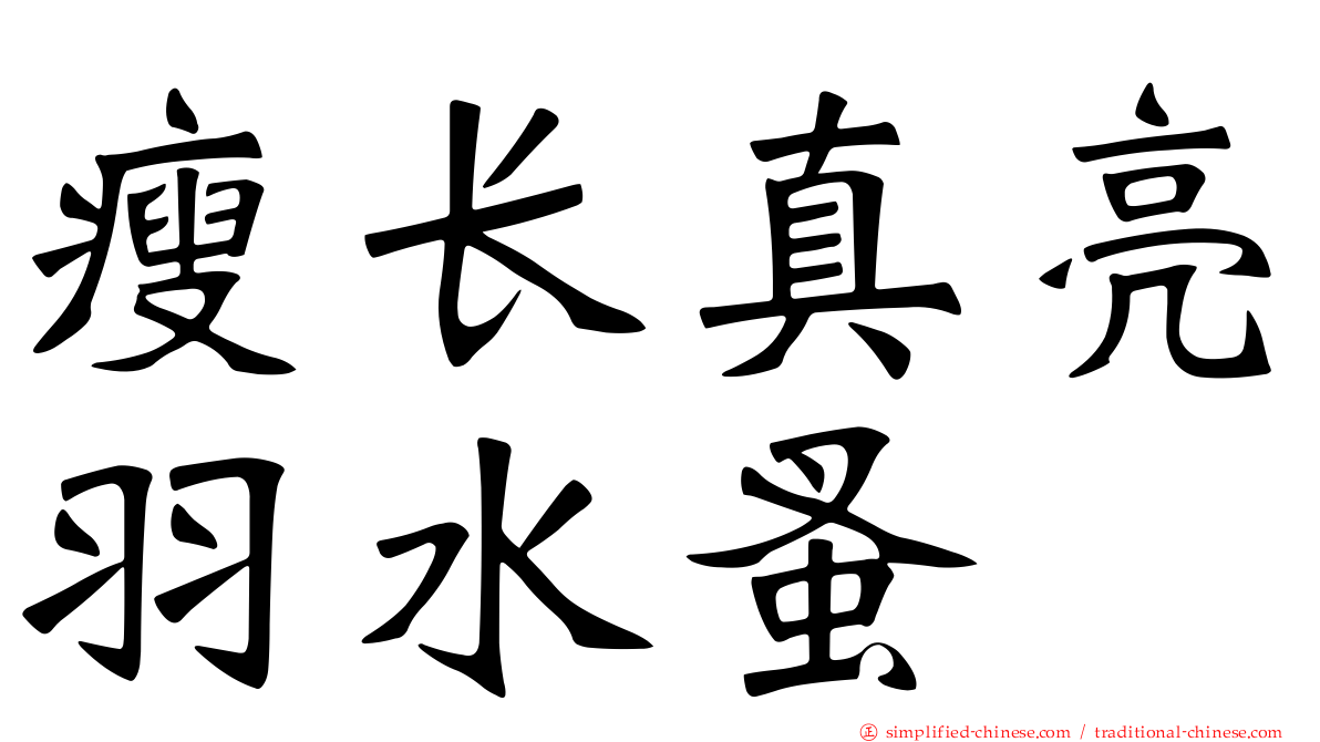 瘦长真亮羽水蚤