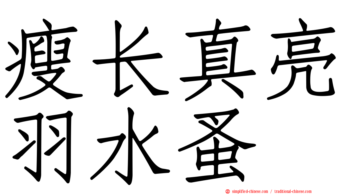 瘦长真亮羽水蚤