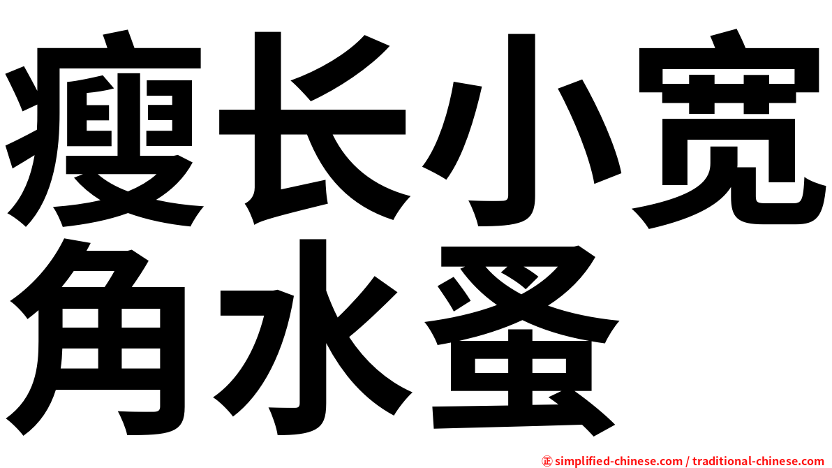 瘦长小宽角水蚤