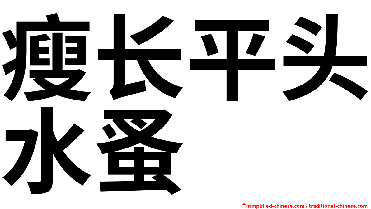 瘦长平头水蚤