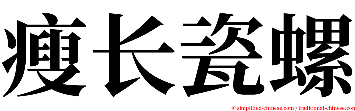 瘦长瓷螺 serif font