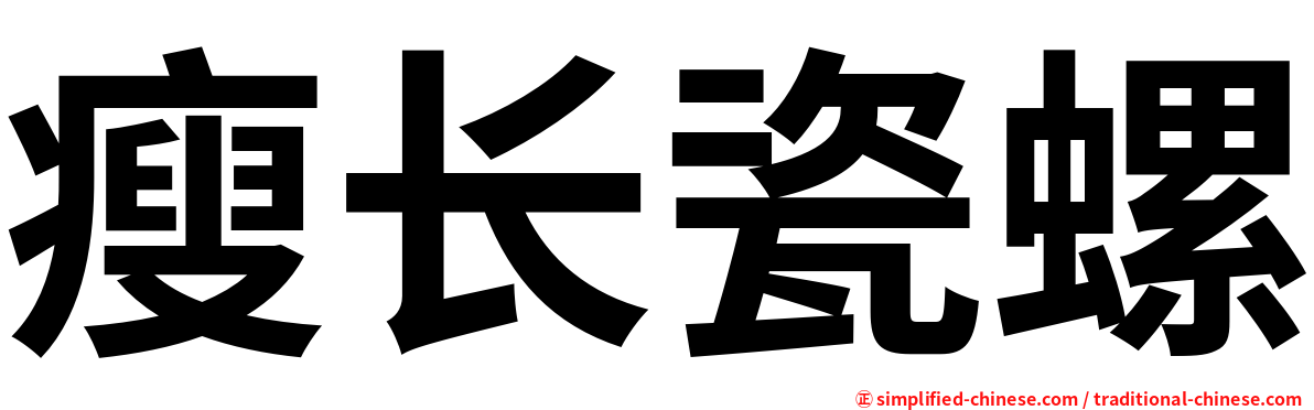 瘦长瓷螺