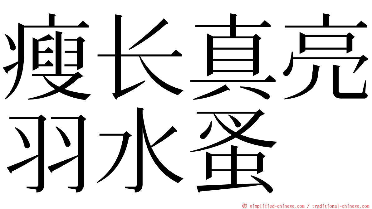 瘦长真亮羽水蚤 ming font