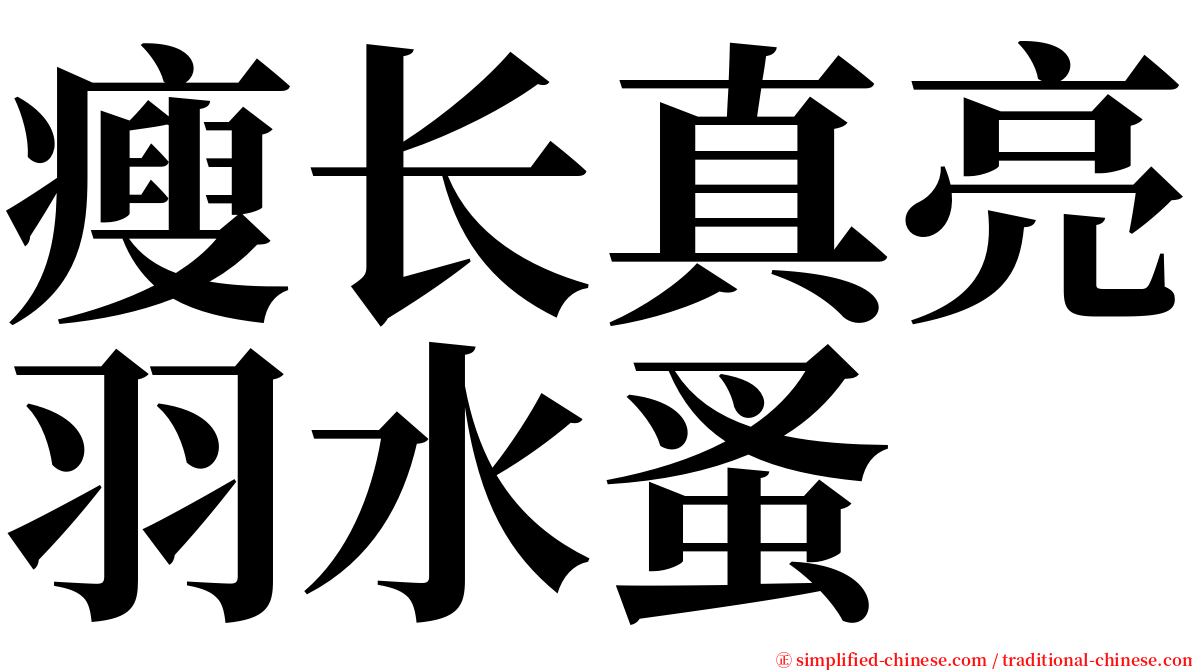 瘦长真亮羽水蚤 serif font