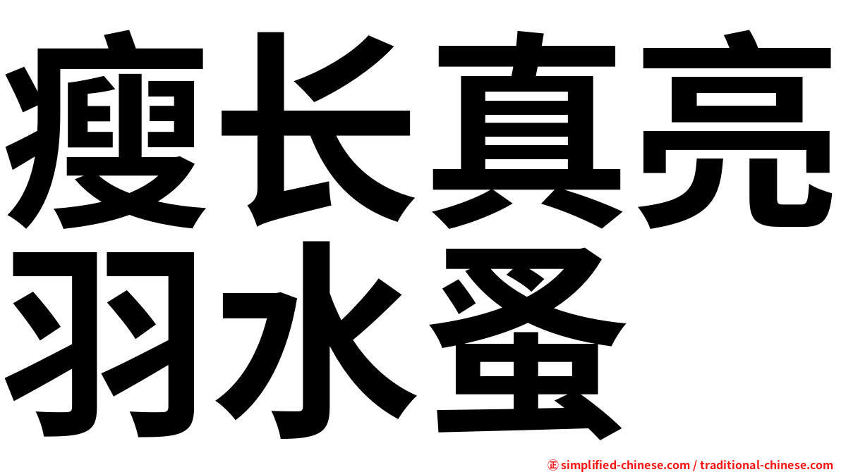 瘦长真亮羽水蚤