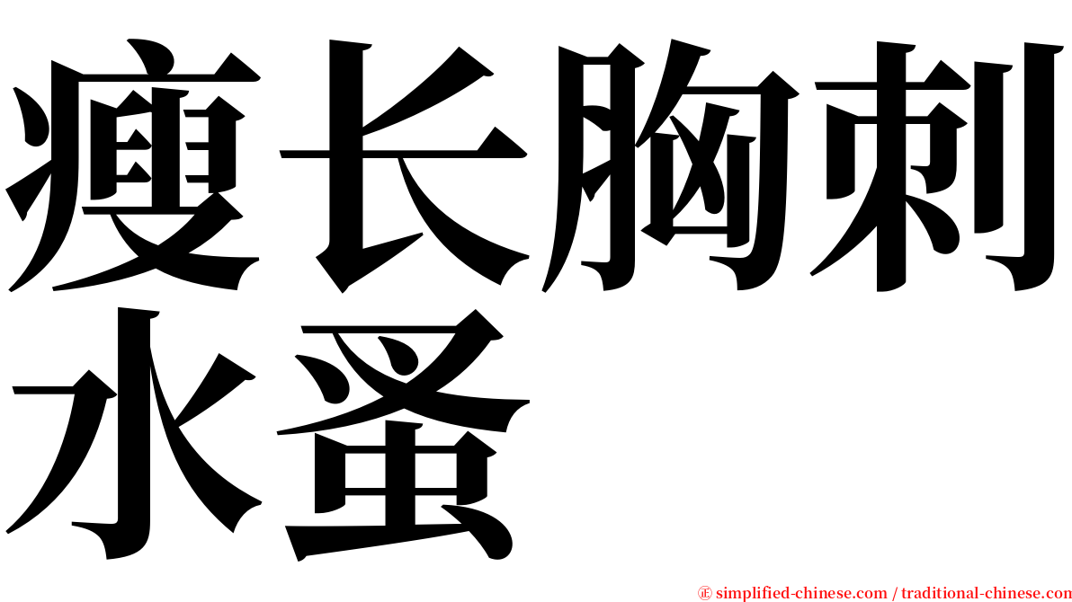 瘦长胸刺水蚤 serif font