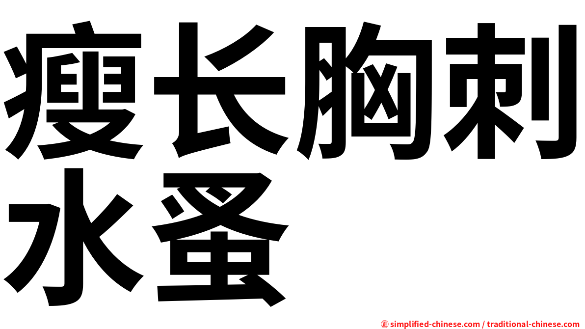 瘦长胸刺水蚤