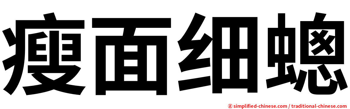 瘦面细蟌