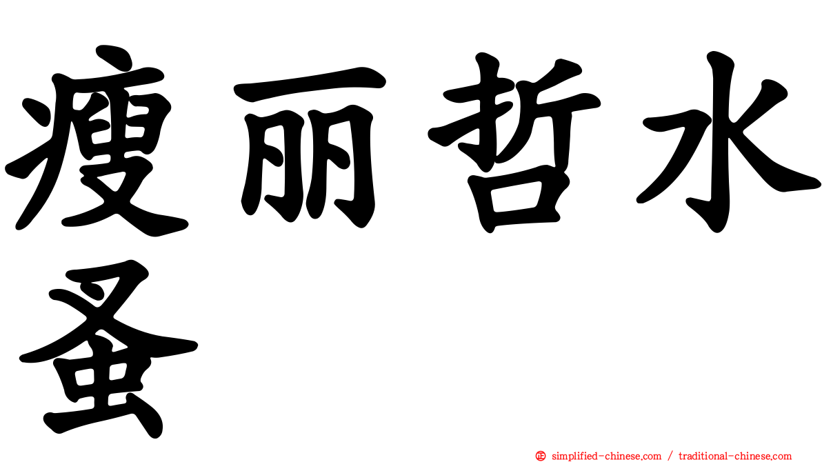 瘦丽哲水蚤