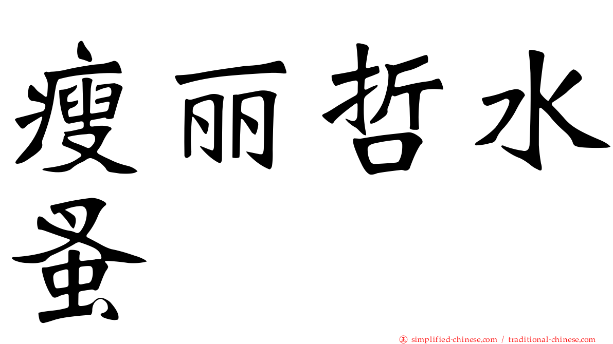 瘦丽哲水蚤