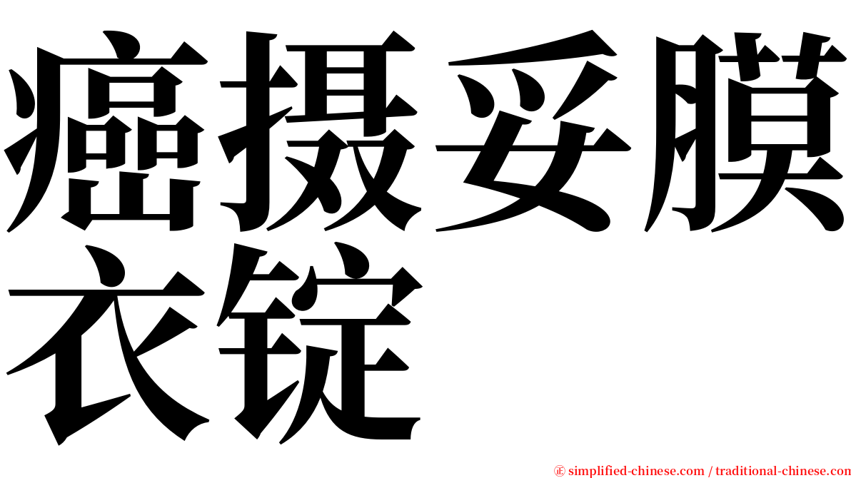 癌摄妥膜衣锭 serif font