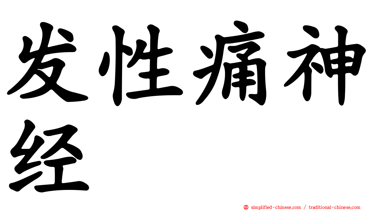 发性痛神经