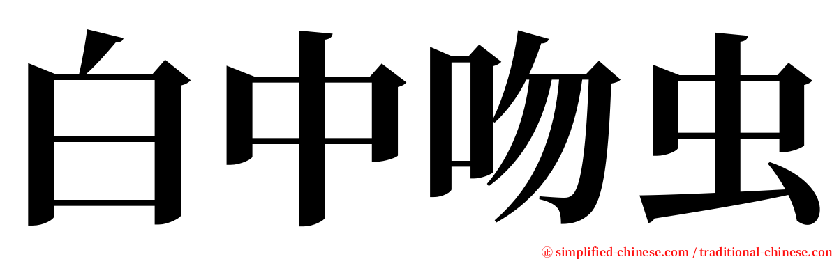 白中吻虫 serif font
