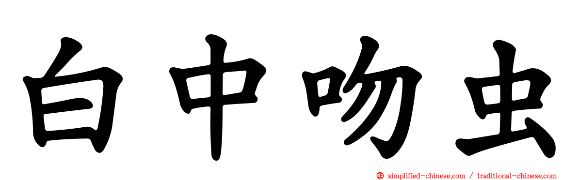 白中吻虫