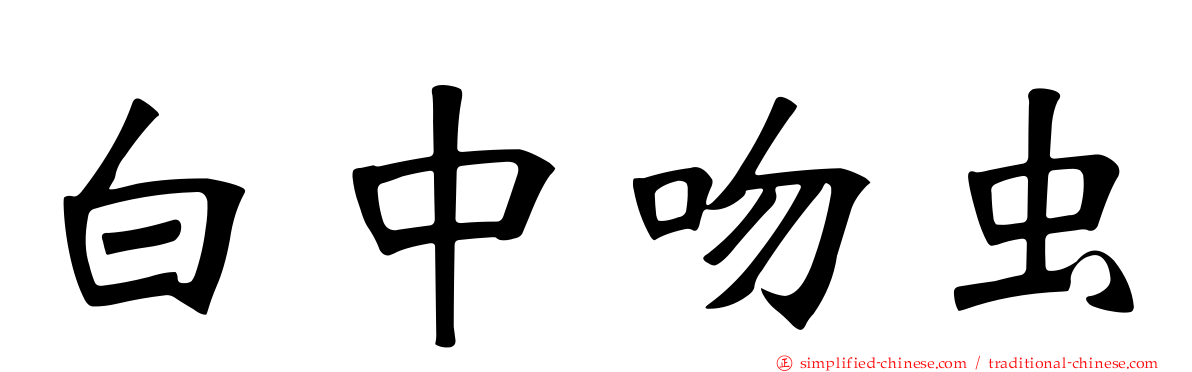 白中吻虫