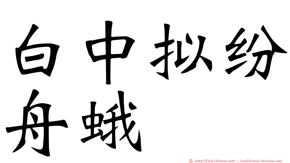 白中拟纷舟蛾