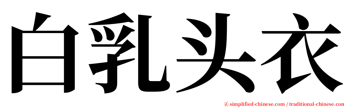 白乳头衣 serif font