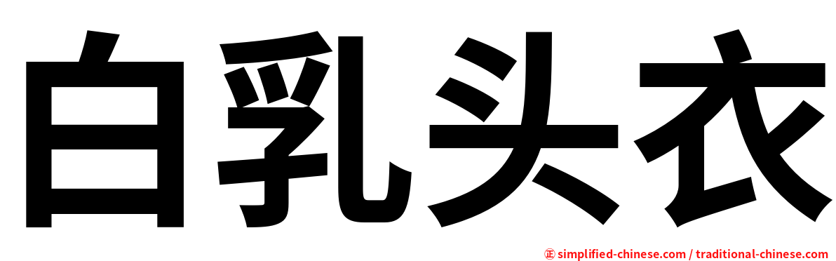 白乳头衣