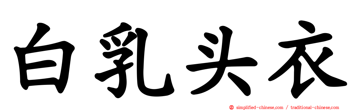 白乳头衣