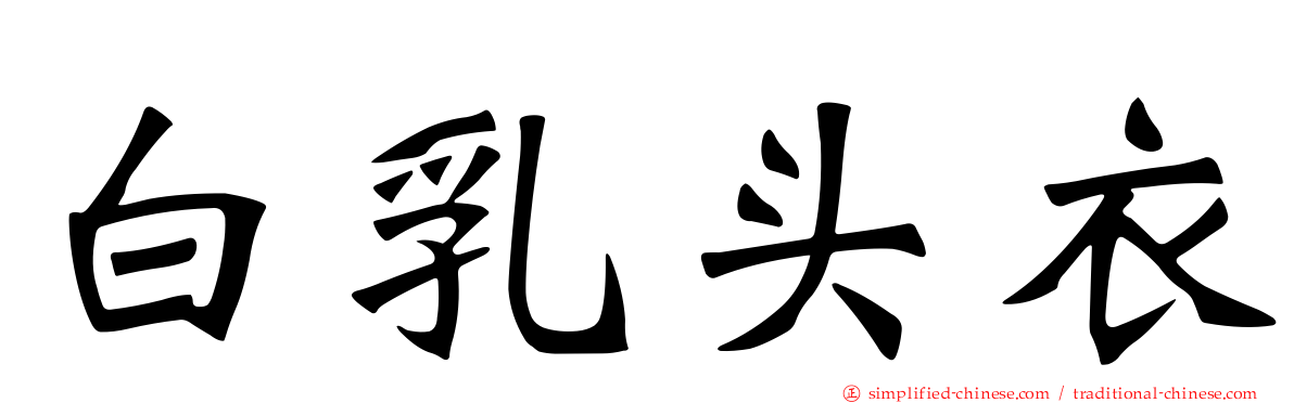 白乳头衣