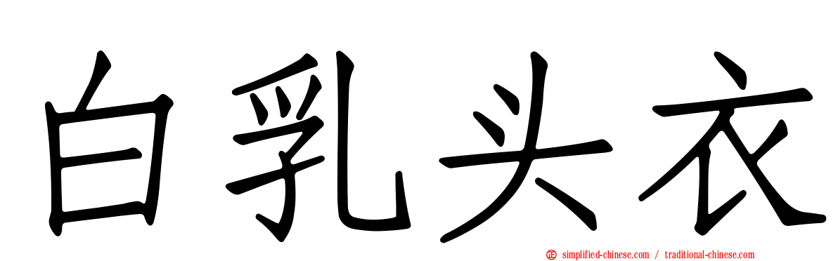 白乳头衣