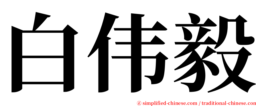 白伟毅 serif font