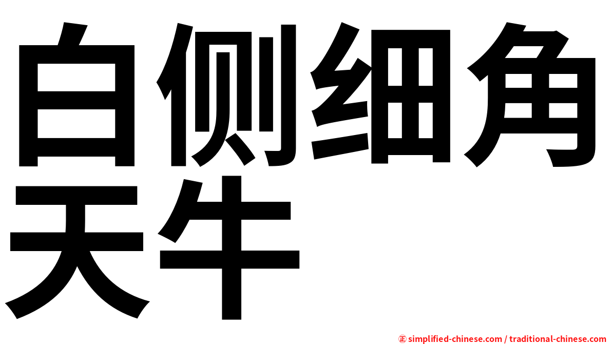 白侧细角天牛