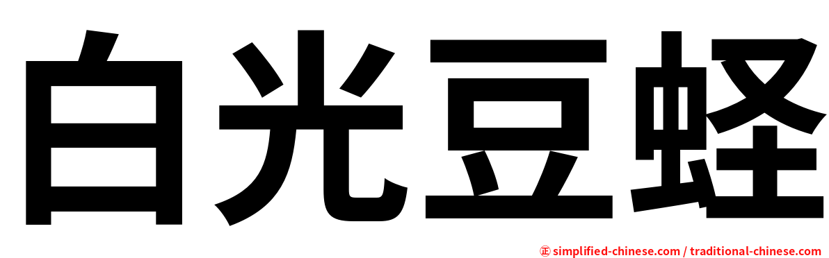 白光豆蛏