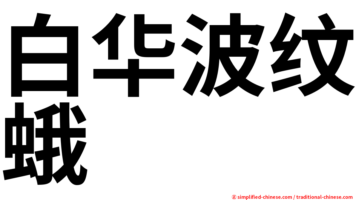 白华波纹蛾