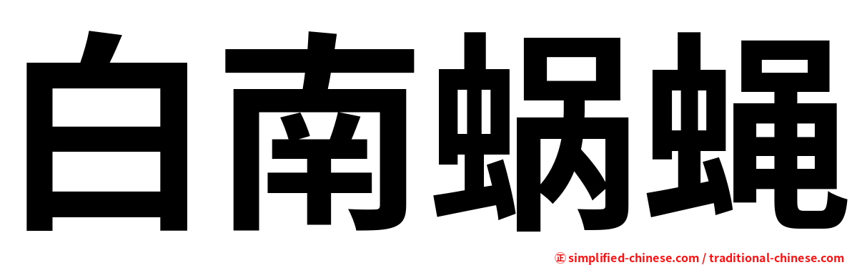 白南蜗蝇
