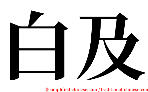白及 serif font